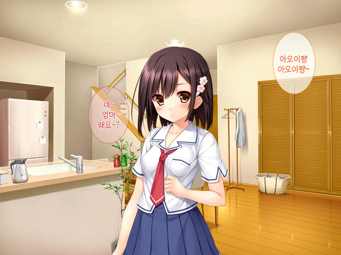 Imouto Ga Suki Sugiru Aniki Ga Kareshi Kara Netoru | 여동생을 엄청 좋아한 오빠가 남자친구에게서 여동생 빼앗기